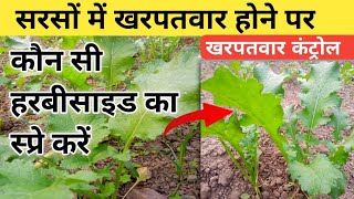 सरसों में खरपतवार नियंत्रण  mustard herbicide ☘️ [upl. by Enar483]