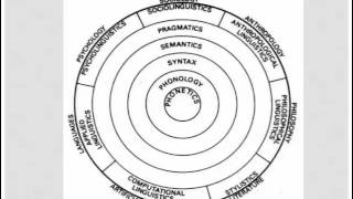 Branches of linguistics [upl. by Yenial]