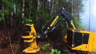 Tigercat LX830D Feller Buncher in Oregon [upl. by Aynna]