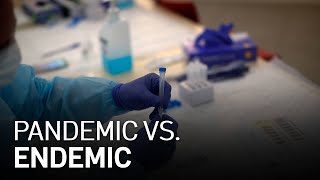 Endemic Vs Pandemic Whats the Difference [upl. by Nashom]