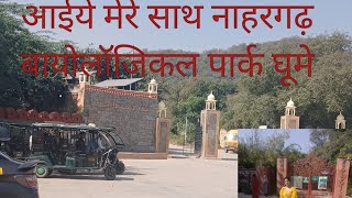 Nahargarh biological park  Rajasthan Turism  Lion safari  Zoo jaipur  bacho k liye bst jagah 🦁 [upl. by Etnahsa]