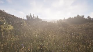 Unreal Engine 5  Forest environment [upl. by Ykcim402]