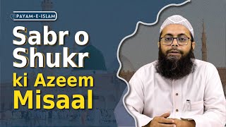 Huzur ﷺ ke Sabr o Shukr ki Azeem Misaal By Dr Salman Alimi miladunnabi payameislam [upl. by Ahsilram]