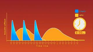 Insulin Regimens animation [upl. by Zere880]