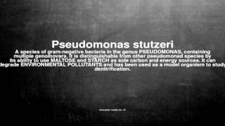 Medical vocabulary What does Pseudomonas stutzeri mean [upl. by Tham402]