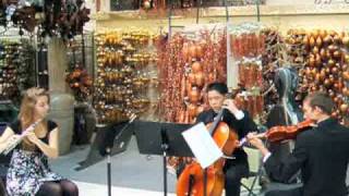 Tchaikovsky Dance of the Sugar Plum FairyFluteString Trio [upl. by Attenahs]