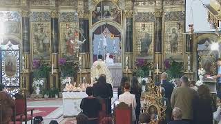 Episcopia GrecoCatolică de Oradea Live Stream [upl. by Lahcar]