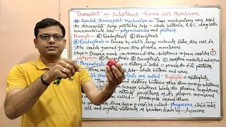 Anatomy amp Physiology 26 Transport of Substance Across Cell Membrane Part 04 Final Endocytosis [upl. by Cohligan]