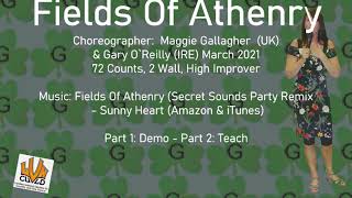 Linedance  Fields Of Athenry  Demo amp Teach [upl. by Rao761]