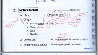 l3 speech  dysarthria  aphasia [upl. by Risteau]