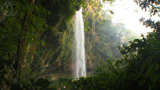 🐦 Waterfall Scenery in Tropical Rainforest with the Sound of Falling Water and Singing Jungle Birds [upl. by Dodd]