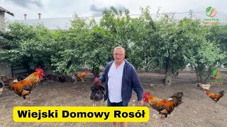 🍲 Domowy Rosół Wiejski z Makaronem Domowej Roboty 🍲 [upl. by Odnavres387]