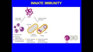 MEDICAL MICROBIOLOGY CH11 INNATE IMMUNITY [upl. by Swords]