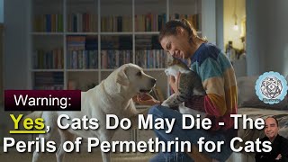 Yes Cats Do May Die  The Perils of Permethrin for Felines [upl. by Aicitel]