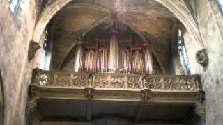 Orgue de la collégiale SaintPierre dAvignon [upl. by Sualkcin]