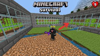 I build a SUGARCANE farm  Minecraft Pe Survival Series 9 [upl. by Semyaj567]