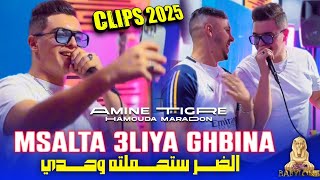 Cheb Amine Tigre 2024 Feat Hamouda Maradon Msalta 3liya Ghbinaالضر ستحملته وحدي© Clips Officiel [upl. by Kcira]