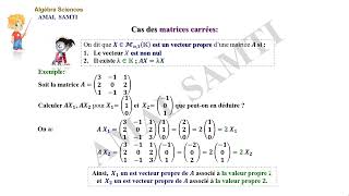 Réduction des endomorphismes partie N° 2 Les vecteurs propres [upl. by Gnek658]