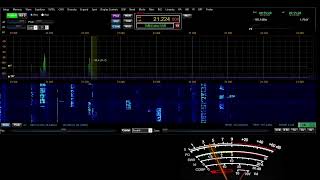 Hawaje WH7T na 15 metrach z dnia 05102024 [upl. by Ollopa]