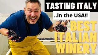 1 BEST ITALIAN WINE MAKING EXPERIENCE  Tasting Italy In The USA [upl. by Navek]