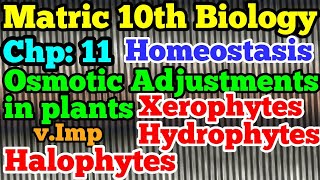 Osmotic adjustments in plants  Hydrophytes  Xerophytes  Halophytes Skin  10th Biology ch 11 [upl. by Braasch]