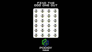 Podgy Puzzles Find the odd one out [upl. by Rednas]