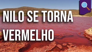 Desmistificando Nilo se torna vermelho [upl. by Aviv381]