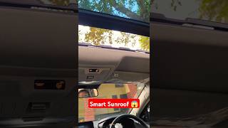 Smart Sunroof 😱 nexon [upl. by Friedrick]