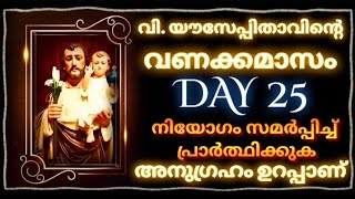 വിയൗസേപ്പിതാവിന്റെ വണക്കമാസം Day 25StJoseph Vanakkamasam 2024 MARCH 25 frmathewvayalamannil [upl. by Audwin]