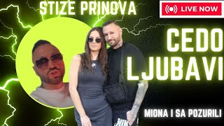 STIZE PRINOVA Miona Jovanovic i Nenad Aleksica Sa nisu casili casa dolazi cedo ljubavi ELITA 8 [upl. by Dong]