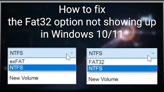 How to Fix the FAT32 Option Not Showing Up in Windows 1011 [upl. by Steffy]