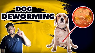 Dog Deworming Explained The Essential Guide You Need 🐶 [upl. by Ahsot]