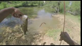 Bass Fishing A Denton County Texas Pond Largemouth Bass [upl. by Blase859]