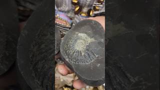 Unbeliveable Rare Antique Shaligram Stone 😱 ytshorts shorts [upl. by Slack]