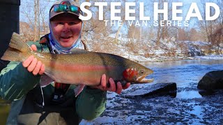 Fly Fishing WINTER STEELHEAD in Erie PA [upl. by Wilfred]