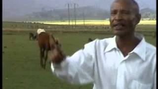 Fandishe Mullata Oromo Music  Sumaani Booya [upl. by Adolphus]