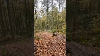 Stile cop mtb mtb mountainbikejumps downhill enduromtb freeridebike [upl. by Leirza562]