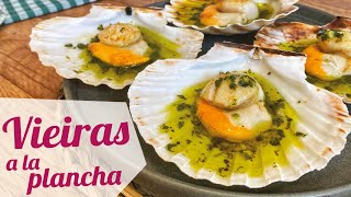 VIEIRAS A LA PLANCHA con ajo y perejil  Receta fácil [upl. by Carmelia]