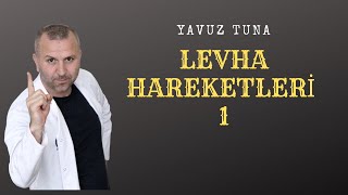 LEVHA HAREKETLERİ 1 tytcoğrafya aytcoğrafya coğrafya kpsscoğrafya [upl. by Allain]