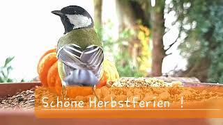 Schöne Herbstferien [upl. by Dame871]