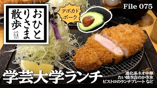 【 東京 学芸大学・グルメと散歩】本当は教えたくない！？おすすめランチ farm studio 203 〜 LODGE BISTRO SARU 〜 とんかつLab グルメ​ ランチ とんかつ [upl. by Awram103]