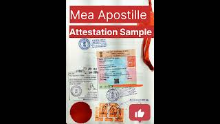 How to Get a Single Status Certificate Apostille Apostille [upl. by Deach]