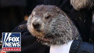 Punxsutawney Phil predicts six more weeks of winter during Groundhog Day celebration [upl. by Giles28]