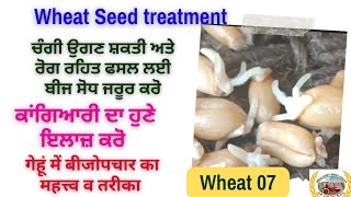 Wheat seed treatment ਚੰਗੇ ਉਤਪਾਦਨ ਰੋਗ ਰਹਿਤ ਫਸਲ ਲਈ ਇਸ ਤਰੀਕੇ ਨਾਲ ਬੀਜ ਸੋਧੋ। [upl. by Felic]