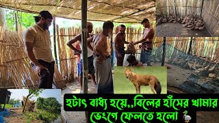 হটাৎ বাধ্য হয়েবিলের হাঁসের খামার ভেংগে ফেলতে হলো 🦆 [upl. by Ocisnarf]