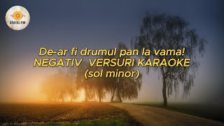 De ar fi drumul pan la vama NEGATIV VERSURI KARAOKE sol minor [upl. by Etnoed]