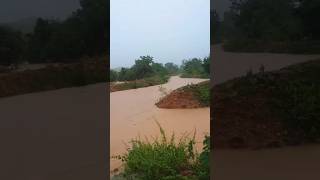 Full raining today kammapalli ytshorts village [upl. by Yodlem]