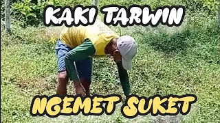 Kaki Tarwin Ngemet Suket  Ngarit Mpan Wedus [upl. by Horwitz]