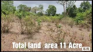 farm house land near Neral  5 lakh per acre 712 land [upl. by Ymirej]