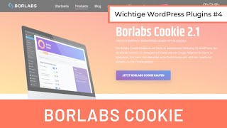 Das beste DSGVO Plugin Einblick in Borlabs Cookie  WordPress Plugins 4 [upl. by Eillib]